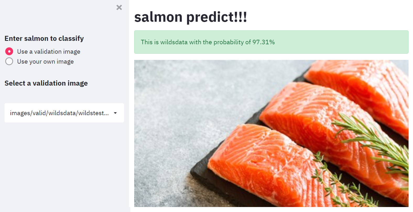 Salmon Classifier: เรื่องวุ่นๆของปลาแซลมอน