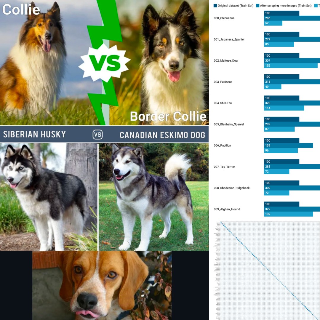 Dog Breed Classification