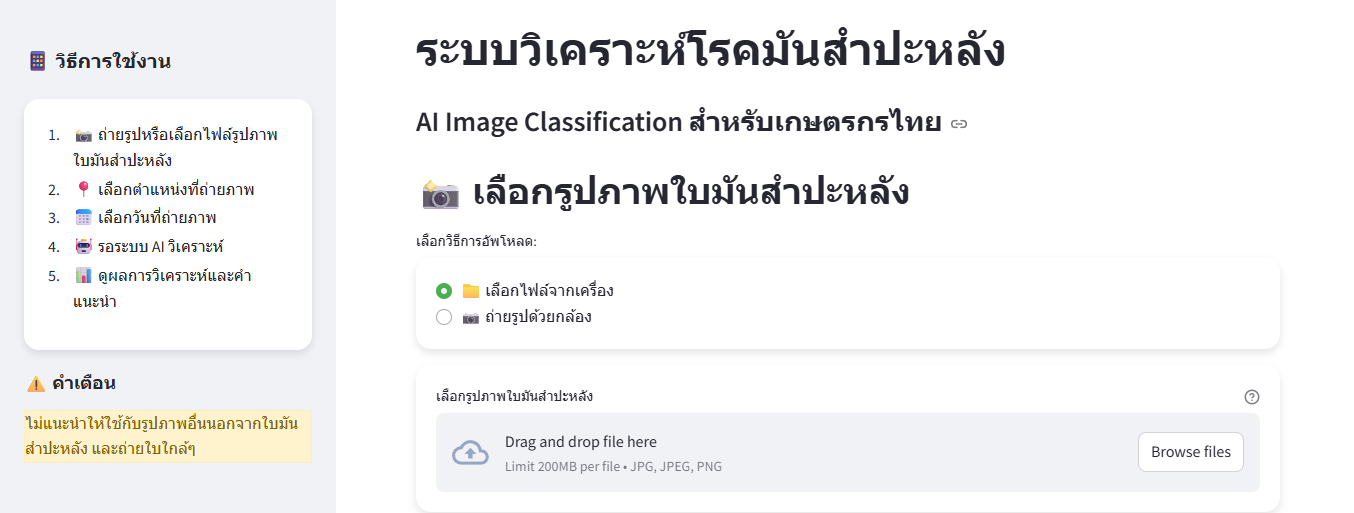 Aib5_Cassava_Kasetai