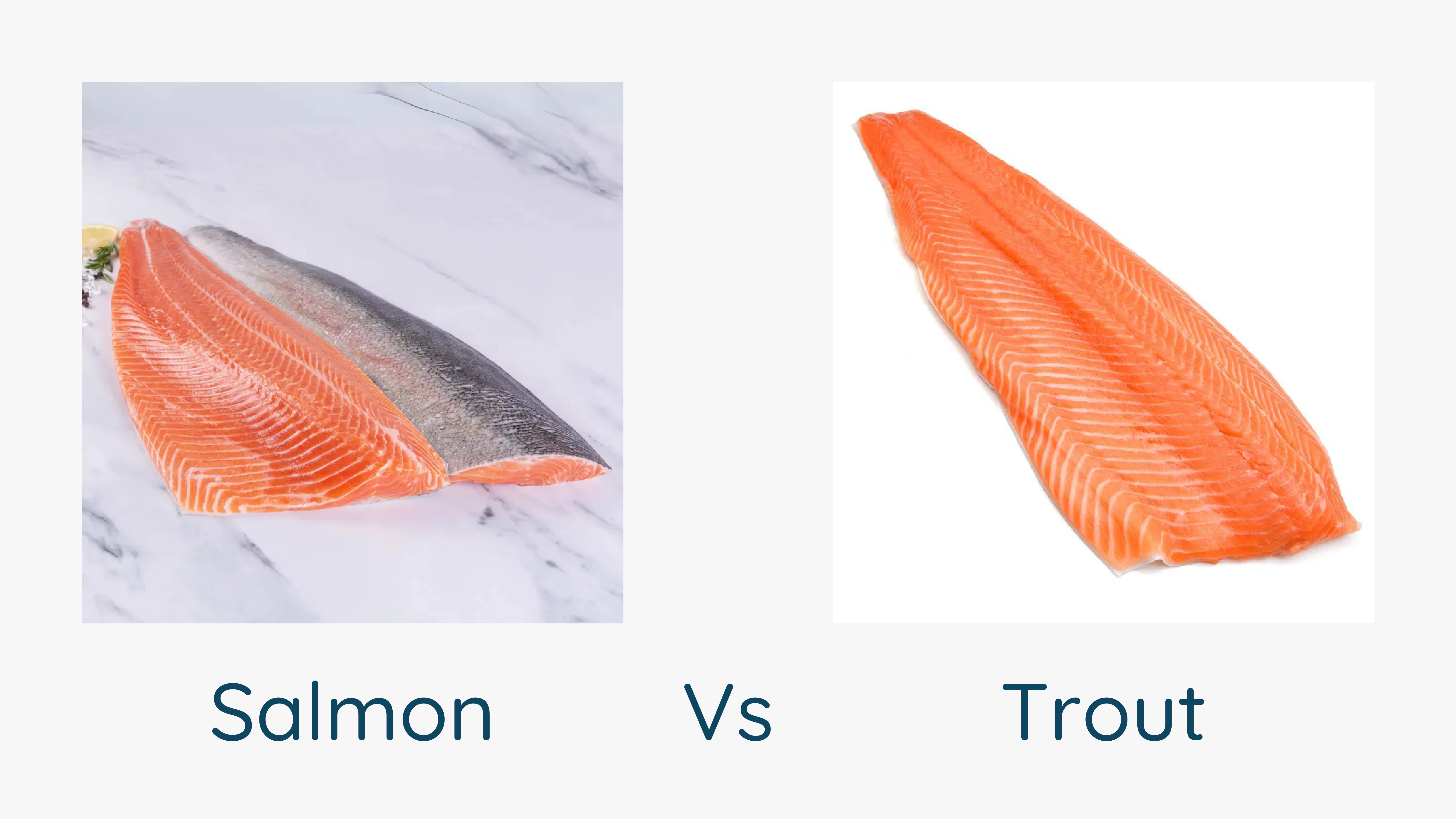 Salmon_Trout_Classification